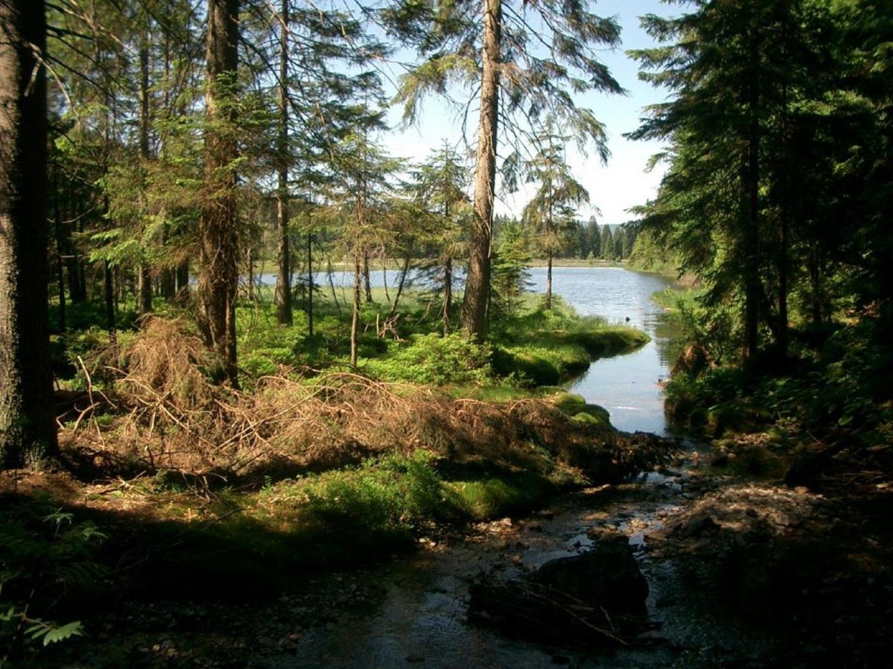 Ferienhof Ellerbeck Langdorf  Extérieur photo